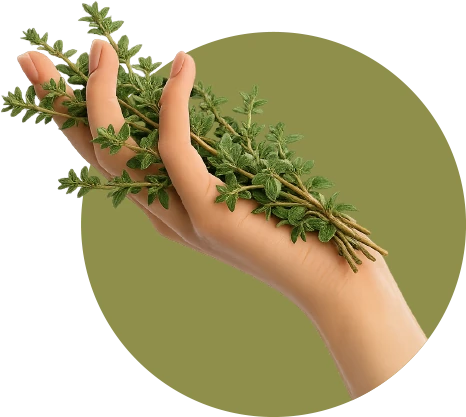 ciflik urunleri center.webp